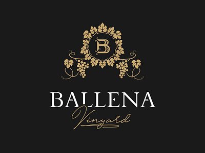 Ballena b grape letter vine vineyard vinyard wine