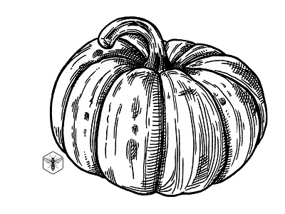 Spice Latte halloween ink inktober pumpkin veggie