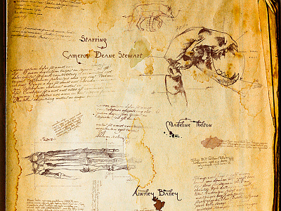 Davinci Page Flat ancient drawing movie titles opening credits