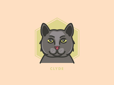 Clyde the cat cats clyde pets vector