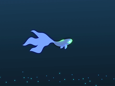 Fish animation fish lonely