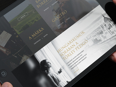 Törley Pezsgőpincészet responsive website design concept bor champagne drink pezsgő responsive törley ui ux vine web webdesign website