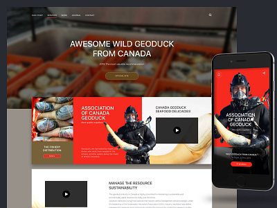 Web UI ui ux