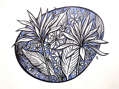 Flora Florida flora florida flowers ink plants prismacolor sketchbook