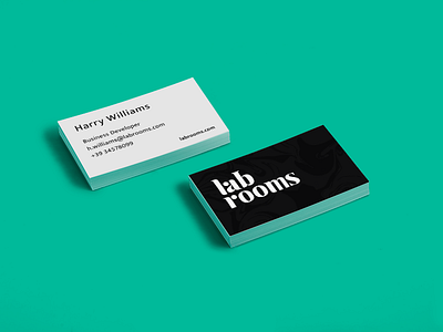 Logo business system brand business card illustrator lab logo rooms vector