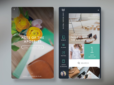 She Reads Truth app v2 app bible shereadstruth ui