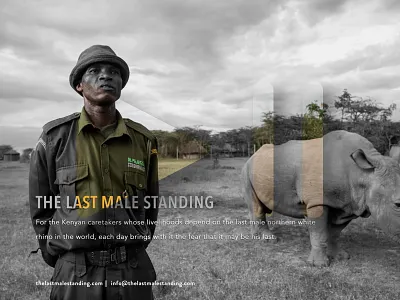 David Hambridge - NC Filmmaker design layout nc raleigh responsive ui videographer visual design web design