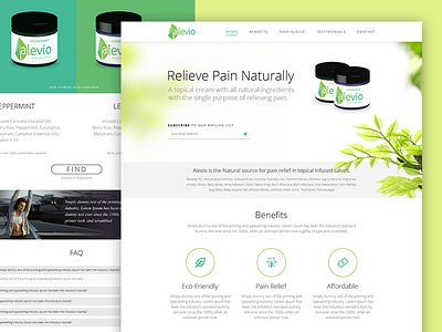 Relieve pain flat design home builders parallax real estate responsive web design