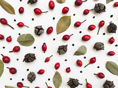 Autumn briar tea autumn briar herbarium pattern photo photograph