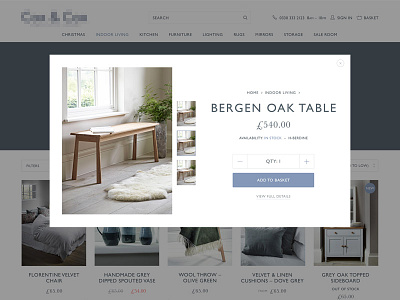 eCommerce product quickview baskerville ecommerce gill sans magento preview quickview scandi whitespace