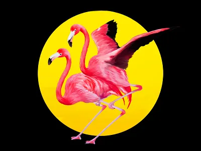 Awwww yeah! flamingo love skateboard
