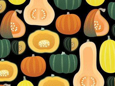 Squash It daily art digital art drawing food graphic design illustration pattern design squash vector