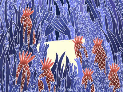 Nat - 2015 illustration nature wildlife