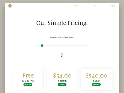 Slingshot pricing page! button form gold hero menu plan pricing scroll ui ux