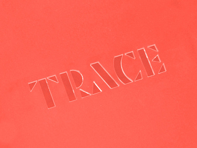 Cover acrylic book brand guidelines identity logo red style guide trace