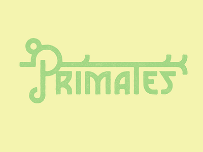 Primates monkey type