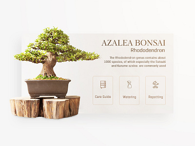 Bonsai Card UI card dailyui design flat icon info minimal product text typo ui web