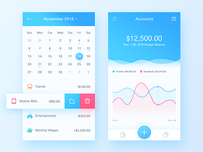 Accounting App accounts budget balance daily ui expenses income