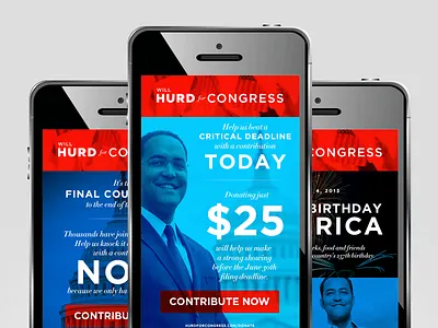 Every dollar counts. branding campaign design email mailchimp marketing photography politics web design