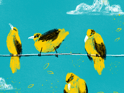 City Birds birds digital editorial illustration nature