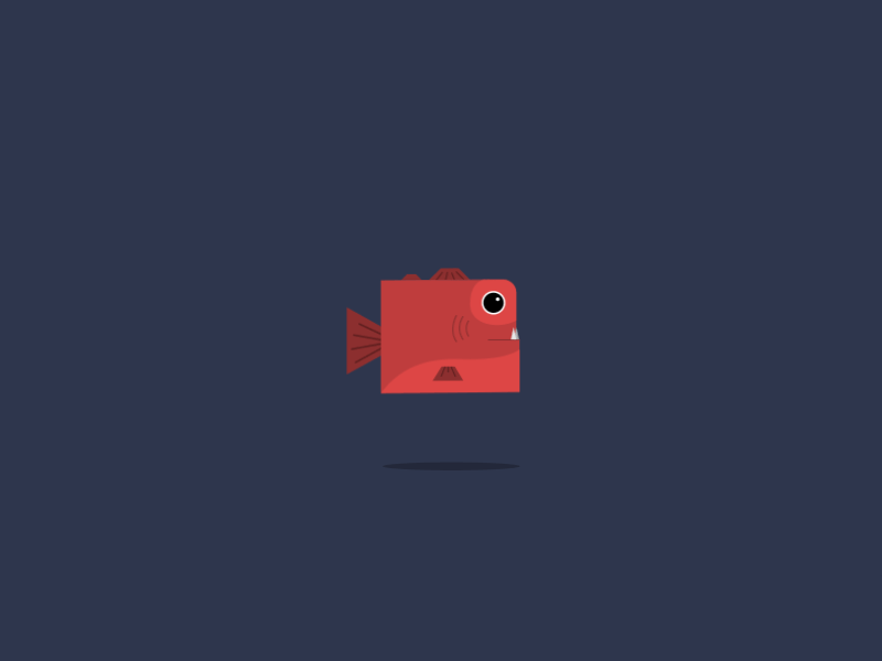 Piranha Run animated design endless fish game game design gif piranha prototype vector