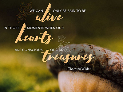 06 Mcarden Typeoverphoto autumn instagram quote quote social media type over photo