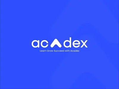 Acadex - Brand Guidelines 3d animation brandguidelines brandidentity branding brandingguideline brandlogo company companylogo graphic design landingpage logo logoguideline motion graphics startup ui uidesigner uiux ux uxdesigner