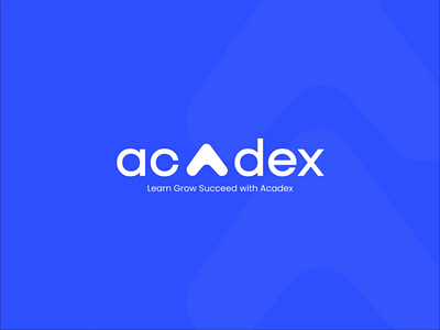 Acadex - Brand Guidelines 3d animation brandguidelines brandidentity branding brandingguideline brandlogo company companylogo graphic design landingpage logo logoguideline motion graphics startup ui uidesigner uiux ux uxdesigner