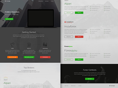 TBT: TheTrader dark finance grey landing page mockup tbt web design