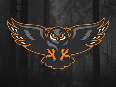 Owl attack bird grand duc hibou logo logo design owl sports logo