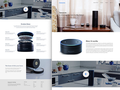 Amazon is Winning - Landing Page Concept