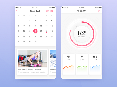 Chart for my training calendar calorie chart km location step training