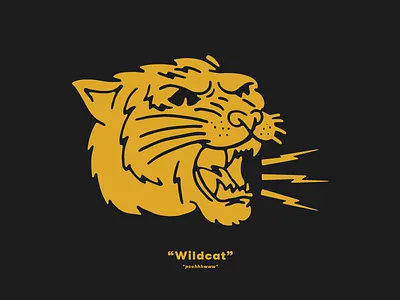 Not a success, why? cat fun gato illustration lightning matt thompson