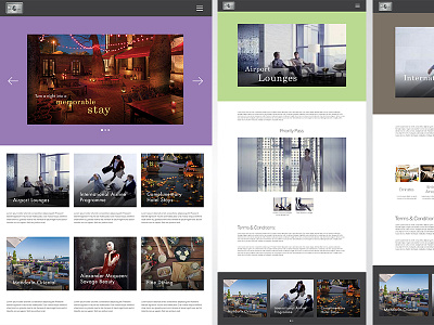 American Express Platinum emailer landing page ui ux web design