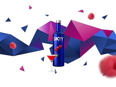 Skyy skyy vodka