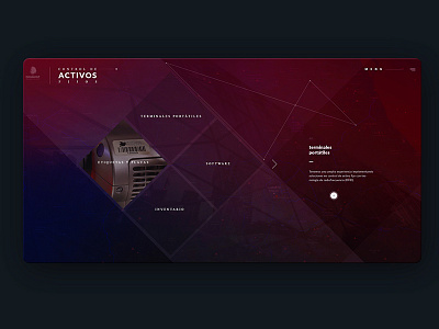 Activos Fijos layout site web website