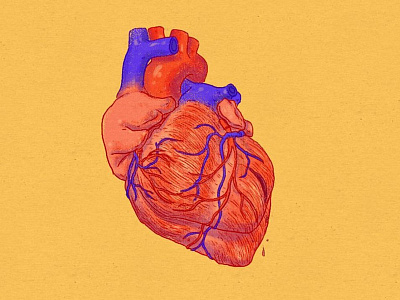 Daily Doodle #68 daily doodle heart illustration organ