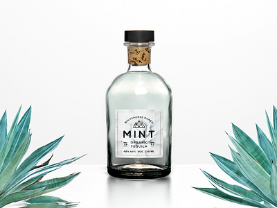 Tequila Branding agave branding clean fresh geometric minimal mint organic tequila