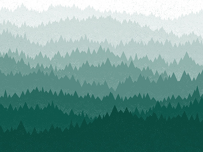 Forest forest trees