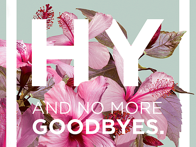 Hy There! color design direct mail flowers hibiscus type typography