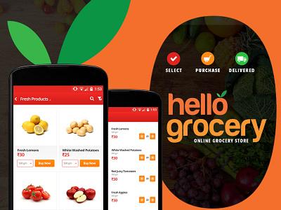 Online Grocery Shopping App grocery product