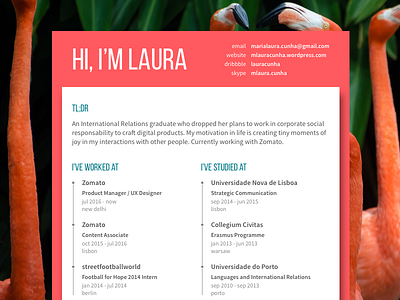 Resume cv flamingos resume