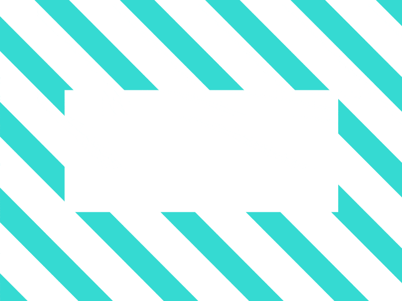 Pieneut branding colors fresh identity party personal project