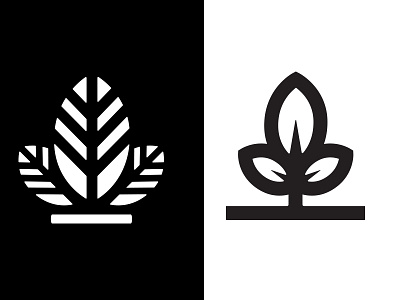 Renewal 2 growth icon leaf renewal