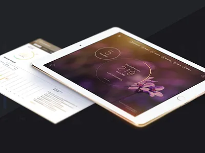 ClearScore Dashboard 2 chart clearscore dashboard diagram donut doughnut flowers ipad navigation score stats ui