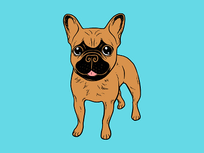 Golden Fawn Frenchie black mask cute dog drawing french bulldog frenchie golden fawn illustration pets life pop art puppy love