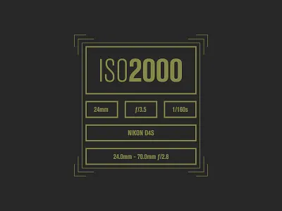 EXIF Data UI camera data exif gold lines minimal photo photograph photography ui ux