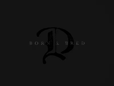 Born & Bred detroit lettering typography