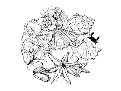 Sea Shells - 2017 Pen Illustrated Calendar beach black and white calendar circle drawing illustration nature pen and ink sea sea shells sketching