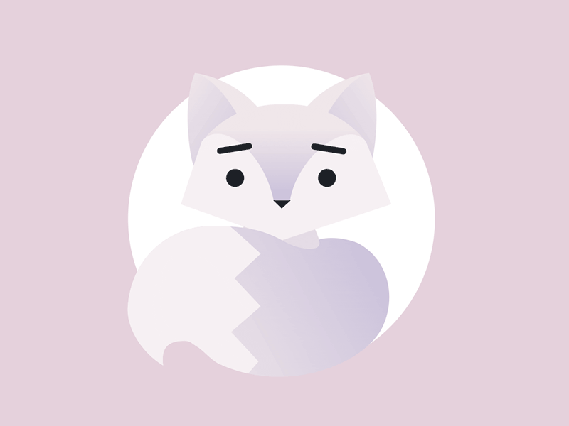 Snow fox